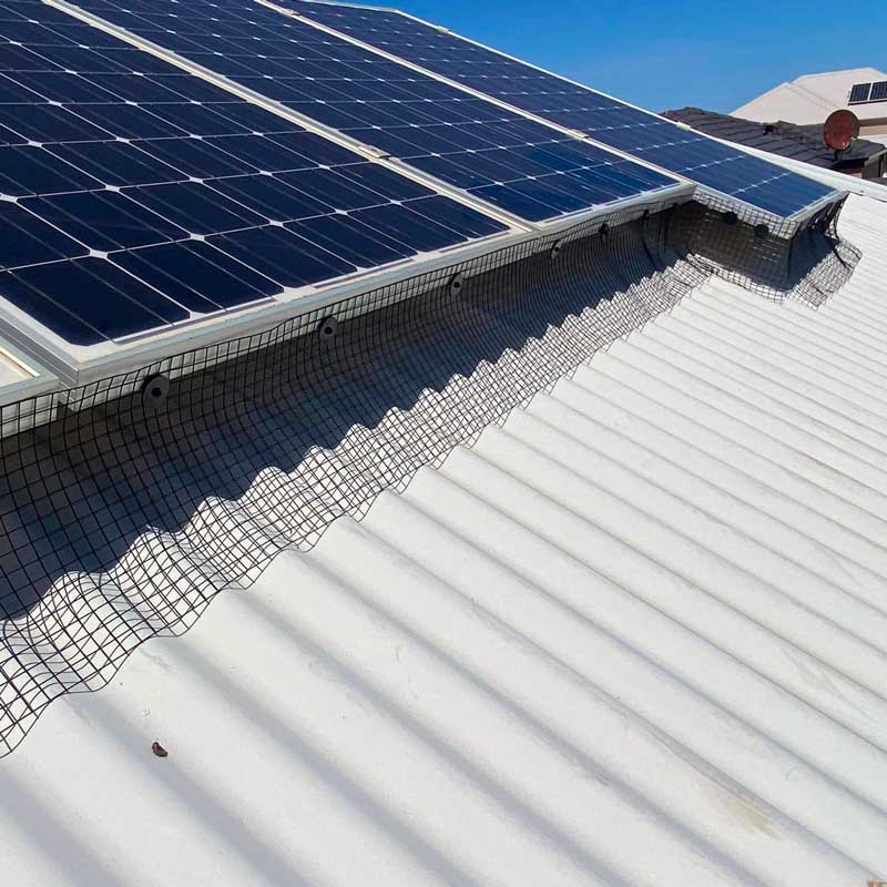 Bird proofing installed around solar panels